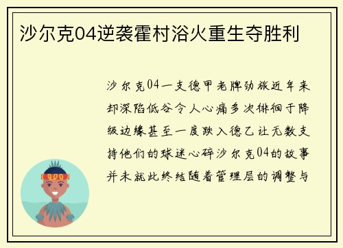 沙尔克04逆袭霍村浴火重生夺胜利
